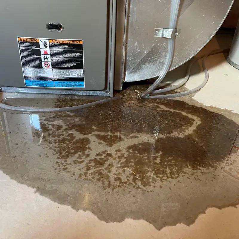 Appliance Leak Cleanup in Sundance, WY