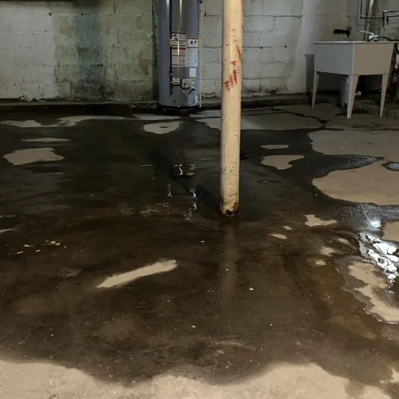 Emergency Water Extraction And Removal in Sundance, WY